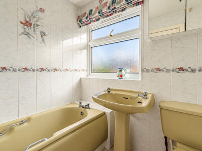 Picture 15